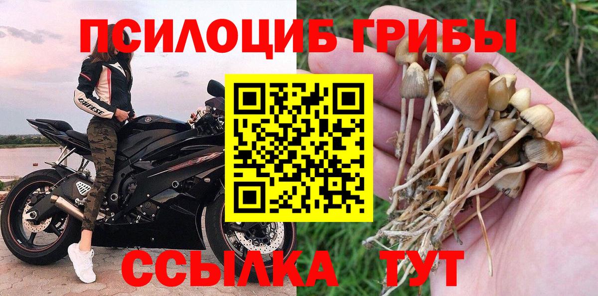 Великие Луки  где продают   Галлюциногенные грибы ЛСД  Вход с VPN  Псилоцибиновые грибы Psilocybine cubensis 