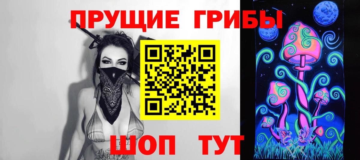 Галлюциногенные грибы Psilocybine cubensis Великие Луки