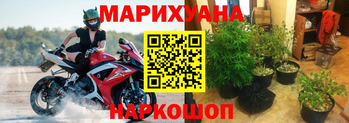 Марихуана семена Великие Луки